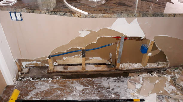 Best 24/7 water damage repair  in Lake Barcroft, VA