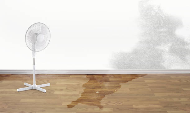 Best Sewage cleanup and water damage restoration  in Lake Barcroft, VA
