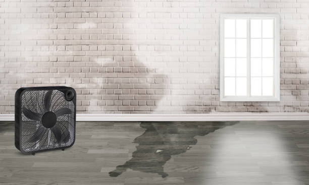 Best Water damage restoration experts  in Lake Barcroft, VA