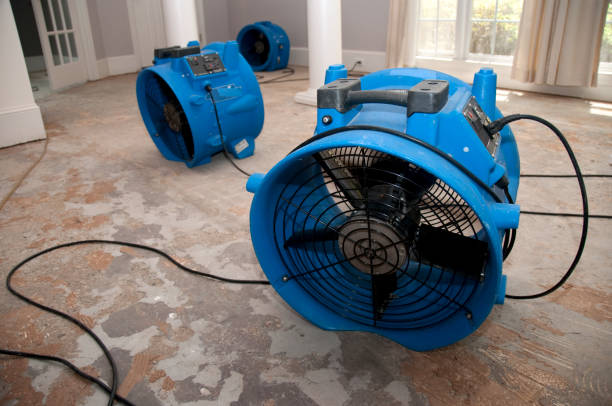 Best Local water damage restoration  in Lake Barcroft, VA