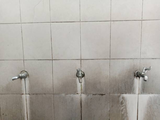 Best Water damage restoration process  in Lake Barcroft, VA