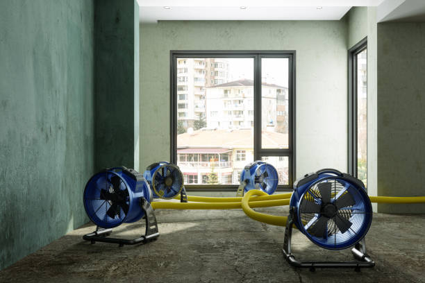 Best Residential water damage restoration  in Lake Barcroft, VA